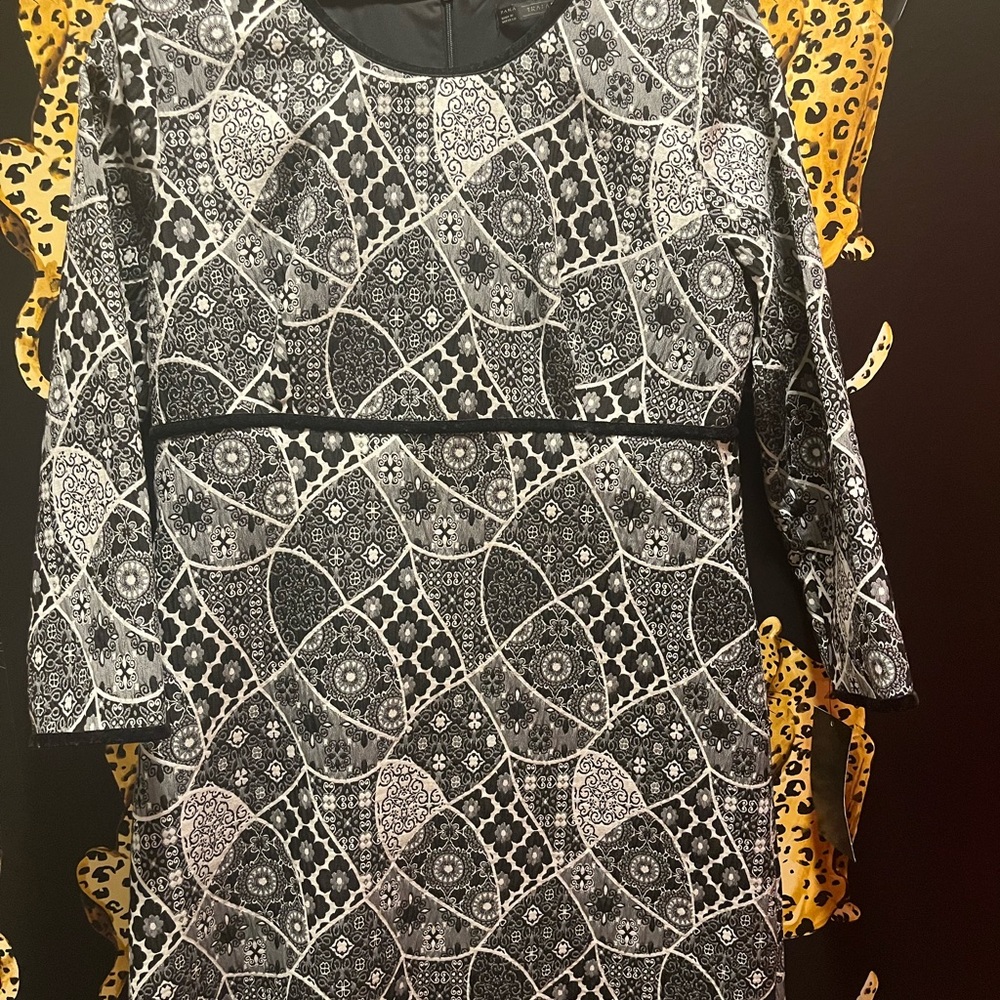 Zara Black and White Geometric Long Sleeve Dress